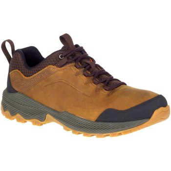 Sapatos Homem Sapatos de caminhada Merrell Forestbound WP Castanho