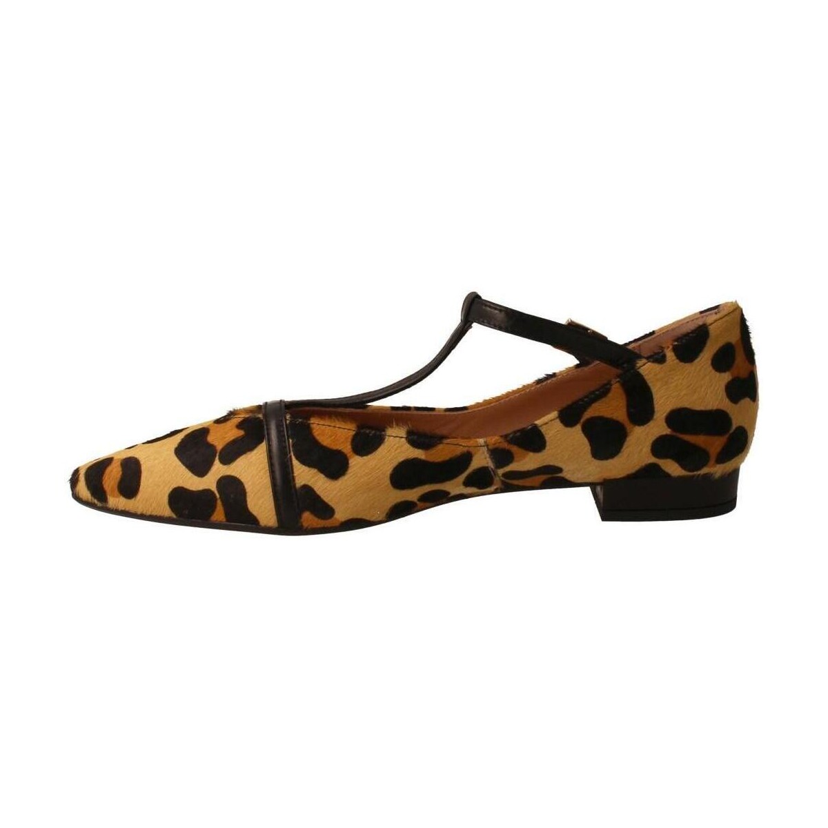 Sapatos Mulher Sapatos & Richelieu Miuxa  Multicolor