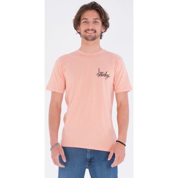 Textil Homem T-Shirt mangas curtas Hurley Camiseta  Wash Parrot Tee Pink Quest Rosa