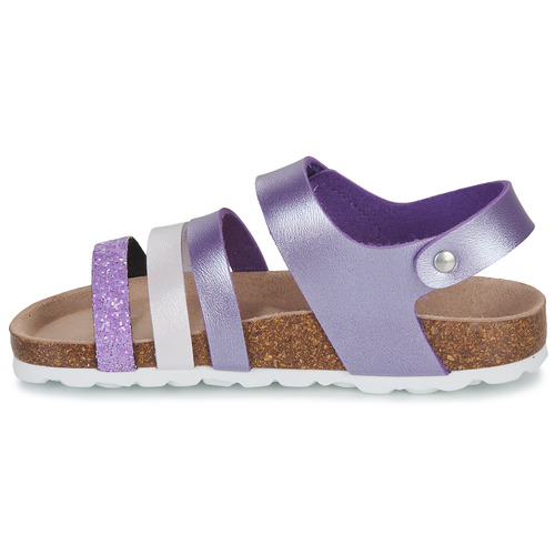 Citrouille et Compagnie ZELLIE Violeta