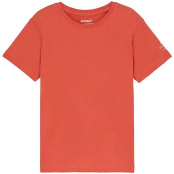 Textil Rapaz T-Shirt mangas curtas Ecoalf  Laranja