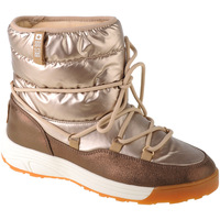 Sapatos Mulher Sapatos & Richelieu Big Star Snow Boots Ouro