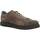 Sapatos Homem Sapatos & Richelieu Stonefly 212156S Castanho