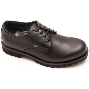 Sapatos Homem The home deco factory Panama Jack  Preto