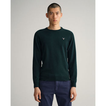 Textil Homem camisolas Gant Pulover com decote redondo em lã extrafina Verde