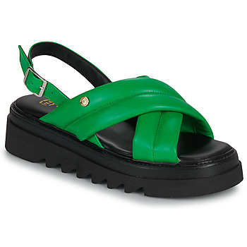 Sapatos Mulher Sandálias Fericelli New 8 Verde / Preto