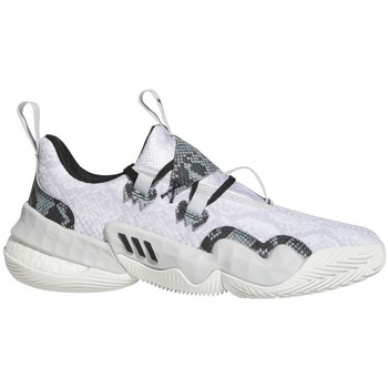 Sapatos adidas standards legsuit black sneakers for women shoes adidas standards Originals Trae Young 1 Cinza