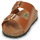 Sapatos Mulher Chinelos Dream in Green MILETTE Camel