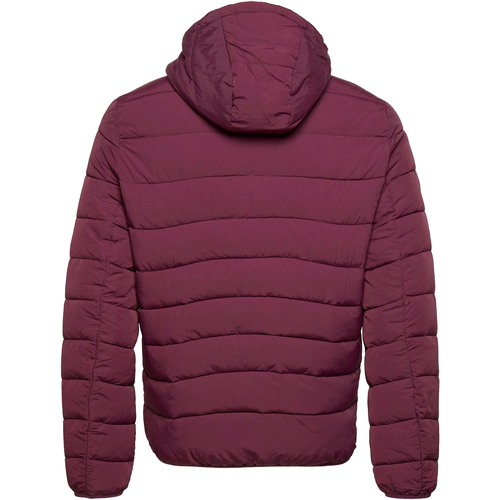 Lyle & Scott Lightweight Padded Jacket Vermelho