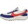 Sapatos Homem Sapatilhas Nike DV0527 Azul