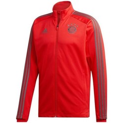 Textil Homem Casacos amazon adidas Originals FC Bayern Munchen Training Jkt Vermelho