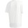 Textil Homem T-shirts e Pólos adidas Originals RYV Message Tee Branco