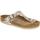 Sapatos Mulher Chinelos Birkenstock 1012770 Bege