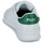 Sapatos Sapatilhas Polo Ralph Lauren HRT CRT CL-SNEAKERS-HIGH TOP LACE Branco / Verde