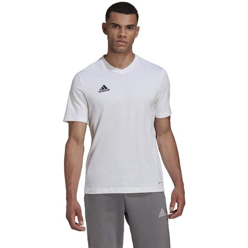Textil Homem Mamalicious Weißes T-Shirt mit Schößchensaum adidas Originals Entrada 22 Branco