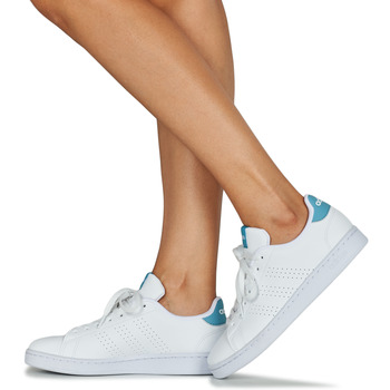 Adidas Sportswear ADVANTAGE Branco / Azul / Claro
