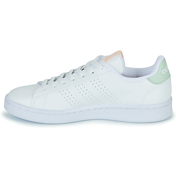 Adidas Sportswear ADVANTAGE Branco / Verde