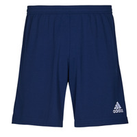 Textil Homem Shorts / Bermudas adidas Performance ENT22 SHO Team / Navy / Azul