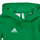Textil Criança Sweats free adidas Performance ENT22 HOODY Y Verde