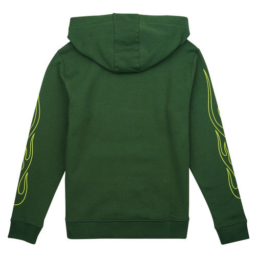 Vans NEON FLAMES PO Verde