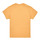 Textil Rapariga T-Shirt mangas curtas Vans SKOOL SUNFLOWER ANIMAL BOX CREW Amarelo