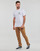 Textil Homem T-Shirt mangas curtas Vans ORIGINAL TALL TYPE SS TEE Branco