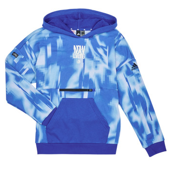Textil Criança Sweats Adidas Sportswear ARKD3 HOODIE Azul
