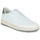 Sapatos Homem Sapatilhas Clae MALONE VEGAN Branco / Cinza