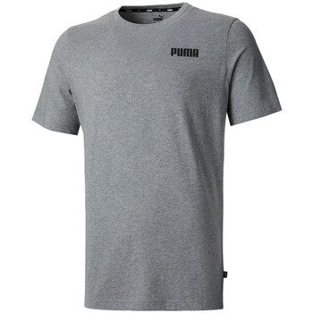 Textil Homem T-Shirt mangas curtas Puma  Cinza