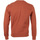 Textil Homem Sweats Champion Crewneck Sweatshirt Laranja