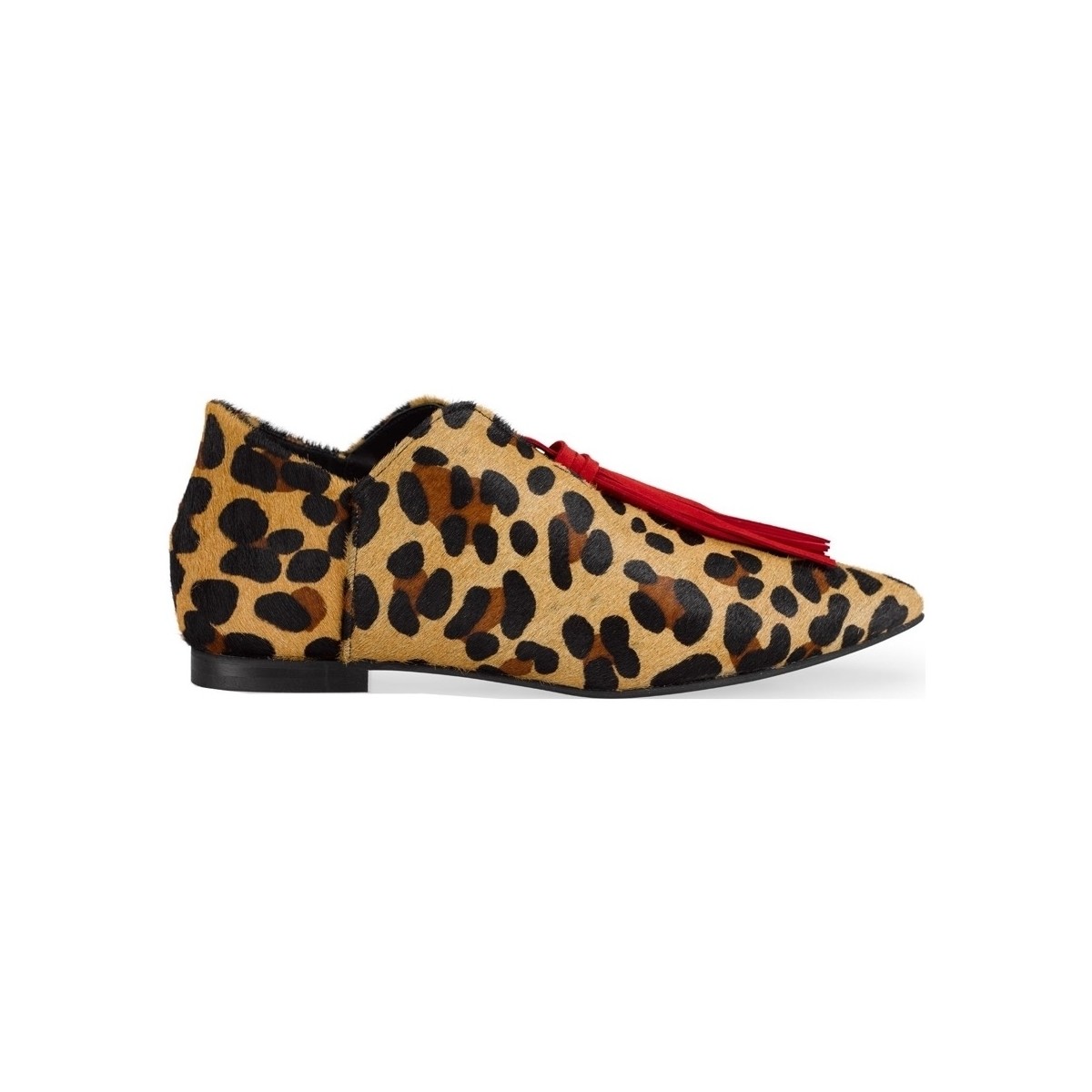 Sapatos Mulher Sabrinas Maray Sapatos Blossom - Leopard Multicolor