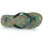 Sapatos Homem Chinelos Quiksilver MOLOKAI RECYCLED Multicolor