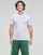 Textil Homem T-Shirt mangas curtas Fila BROD TEE PACK X2 Marinho / Branco
