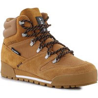 Sapatos Homem Botas baixas adidas Originals Adidas Terrex snowpitch C.RDY FV7960 Ouro