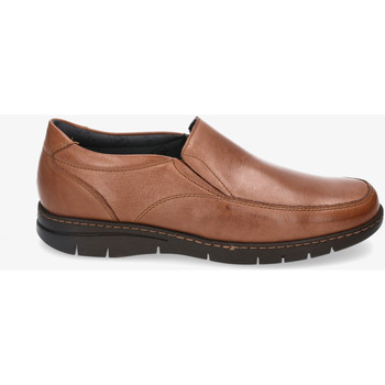 Sapatos Homem Coleção Outono / Inverno Pitillos 109 (4700) (4600) Castanho