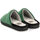 Sapatos Rapariga Chinelos Gioseppo tartu Verde