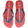 Sapatos Homem Chinelos U.S Polo Assn.  Vermelho