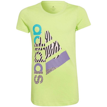 Textil Rapariga T-shirts e Pólos adidas Hailey Originals  Verde