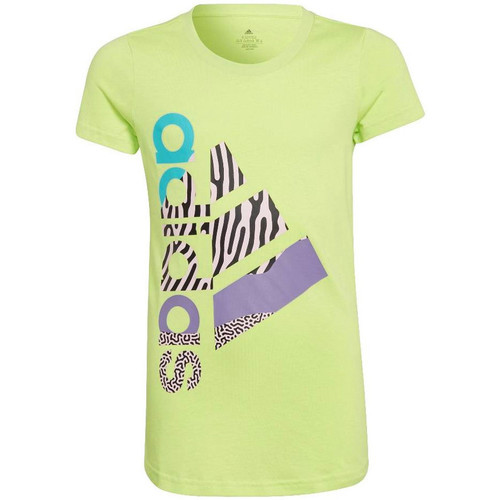 Textil Rapariga T-shirts e Pólos Cal adidas Originals  Verde