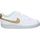 Sapatos Mulher Multi-desportos Nike DH3158-105 Branco