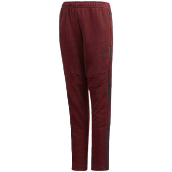 Textil Rapaz Calças de treino adidas pants Originals  Vermelho