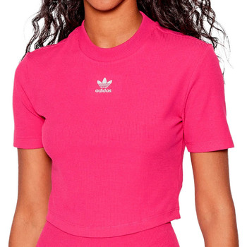 Textil Rapariga T-shirts e Pólos billionaire adidas Originals  Rosa