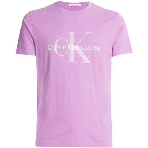Textil Homem T-Shirt mangas curtas Calvin Klein T-shirt Stacked Logo J30J320806 Violeta