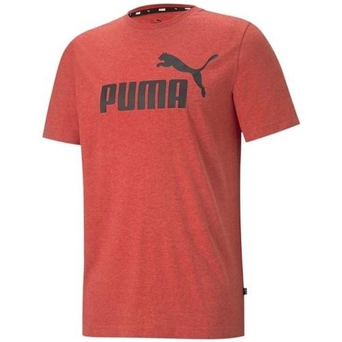Textil Homem T-Shirt mangas curtas Puma Essentials Laranja