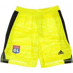 Textil Rapaz Shorts / Bermudas adidas Originals  Amarelo