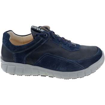 Sapatos Homem Sapatilhas Ganter Evo Azul