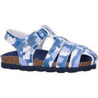 Sapatos Rapaz Sandálias Kickers 622389-10 SUMMERTAN Azul