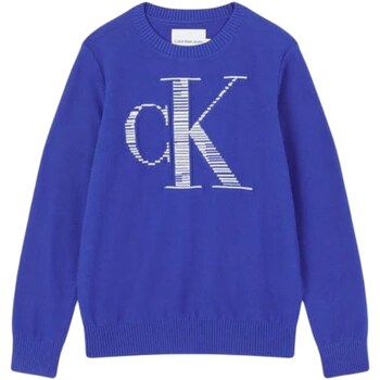 Textil Rapaz camisolas Calvin Klein Cotton JEANS IB0IB01580 Azul