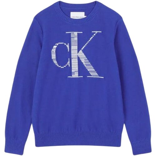 Textil Rapaz camisolas Calvin Klein JEANS Cutoff IB0IB01580 Azul
