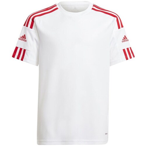 Textil Rapaz T-Shirt mangas curtas adidas Originals JR Squadra 21 Branco